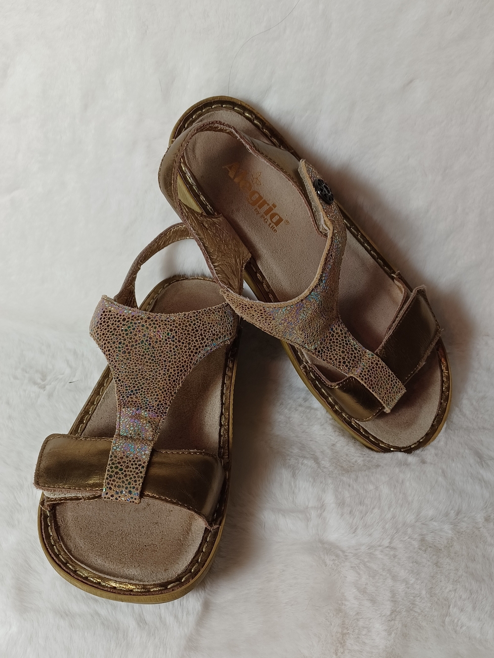 Alegria Metallic Brown T-Strap Women's Sandals